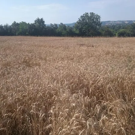 Belle Vue Casa de Férias Roussennac